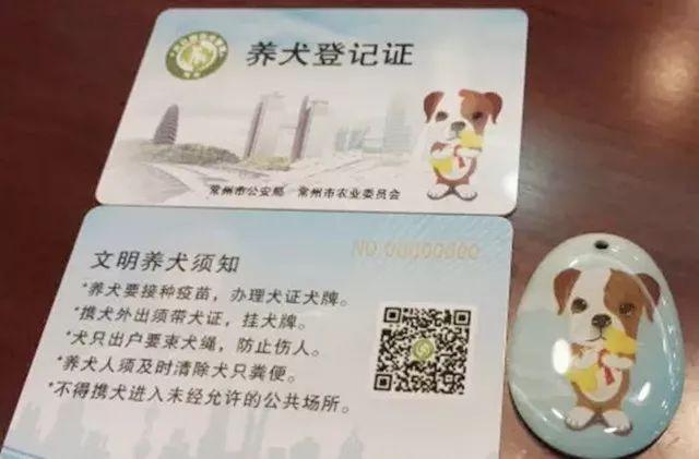 养犬证去哪个部门？（南阳不文明养狗）