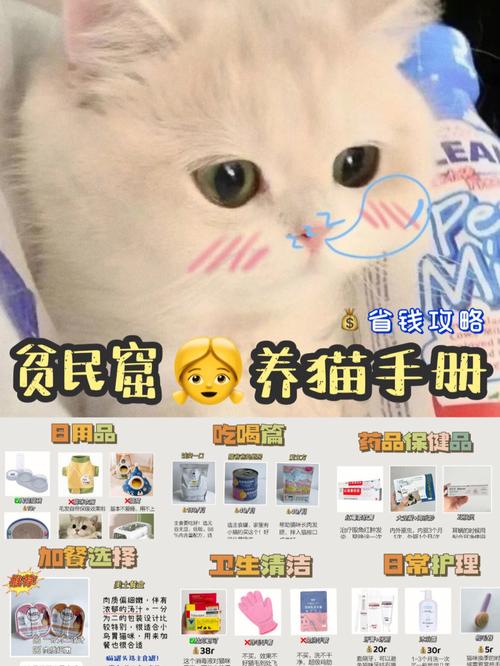 猫猫户口登记怎么做？（广州地区养猫基地）