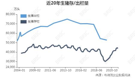 广东养猪补贴2021标准？（广东生猪出栏量）