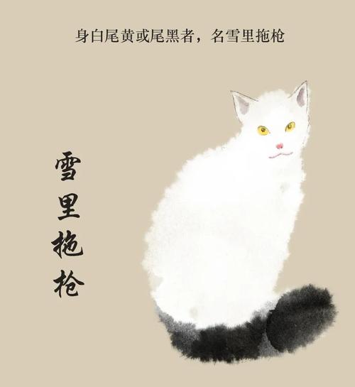 古代小猫咪的爱称？（唐宋养猫的诗人）