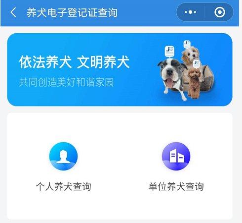 哪里有收养狗的？（微信养狗小程序）