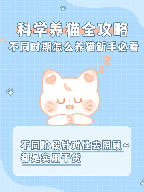 云养猫进不去？（IQOO怎么添加养猫）