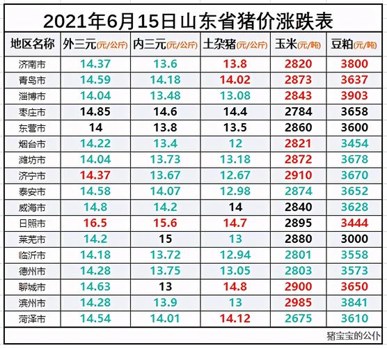 山东临沂网上猪肉为什么便宜？（今日临沂生猪报价）