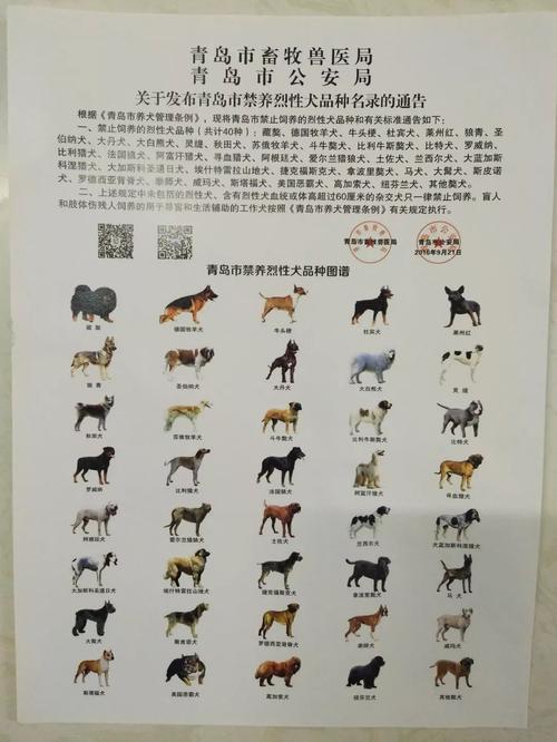 居民区养烈性犬怎么办？（大狗禁养怎么办）