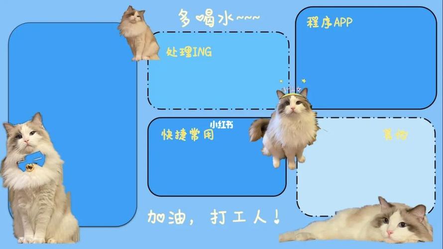 养猫电脑放哪？（桌面养猫教程图解）