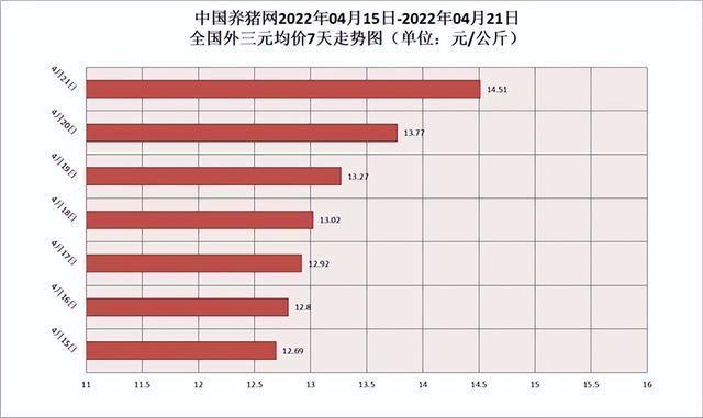 2022年春节猪价预测？（怎么预测生猪价）