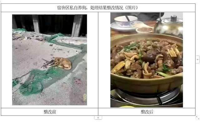 为什么建筑工地要养狗？（养狗是）