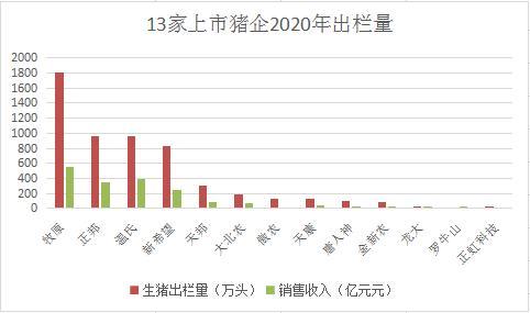 2020年是虎年还是什么年？（2020年全国生猪）