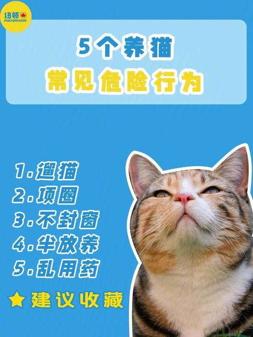 广州养猫管理条例？（养猫住户提醒什么）