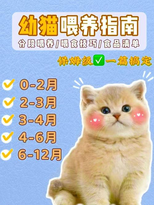 怎么养刚出生的小猫？（新手养猫入门书籍）