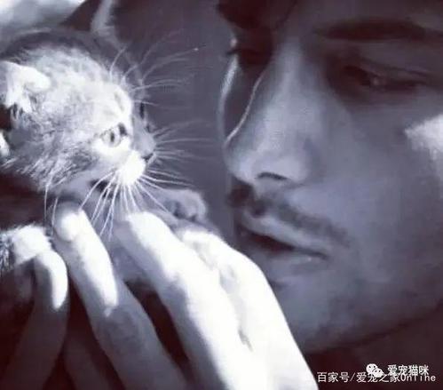 男的养猫有什么说法？（男人爱养猫好吗）