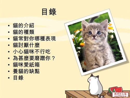 关于想养猫的藏头诗？（养猫的南庄街坊）