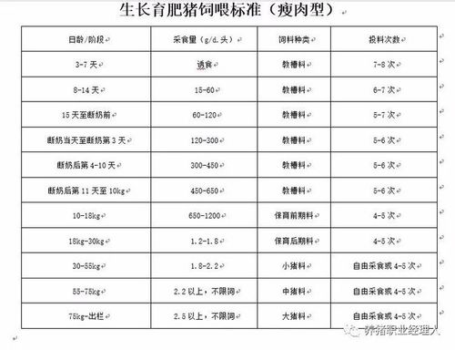 河南省养猪场标准？（河南生猪规模划分）