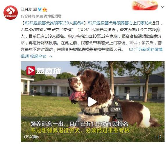 杭州警犬领养途径？（杭州领养猫狗）