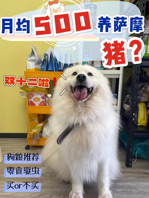 狗生双数好还是单数好？（猪养狗）