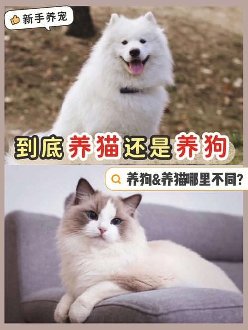 喜欢养狗猫的女生心理？（怎么又养猫了）