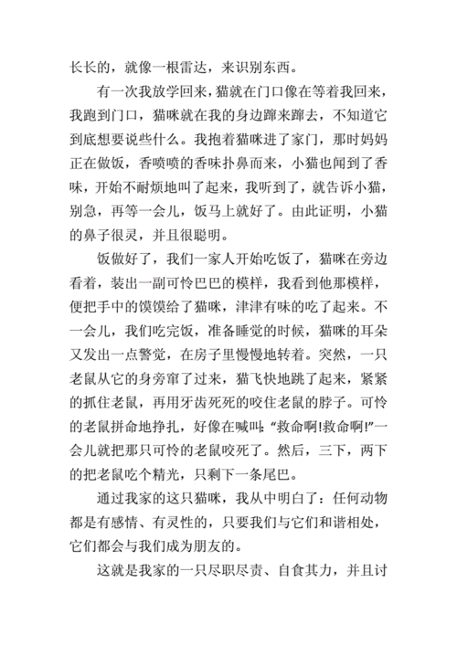 自此我家永不养猫这句话也是全文的结尾，它在内容和结构上有什么作用？（儿童养猫作文结尾）