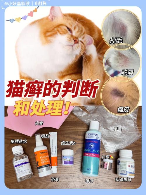 养猫觉得身上痒怎么办？（养猫 皮肤痒）