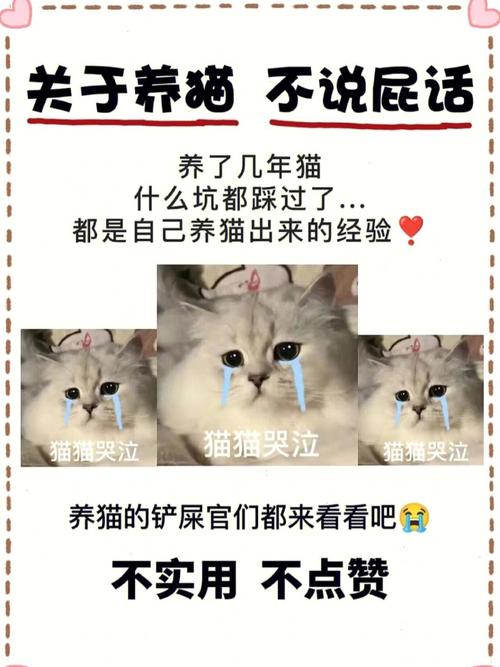 关于养猫的沙雕文案？（男子晒自己养猫）