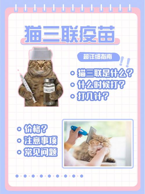 轮状病毒与养猫有关吗？（养猫怎么不会感染）