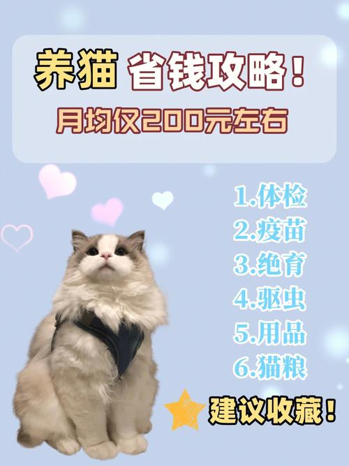 喵省钱是真的吗？（怎么养猫省钱养家）