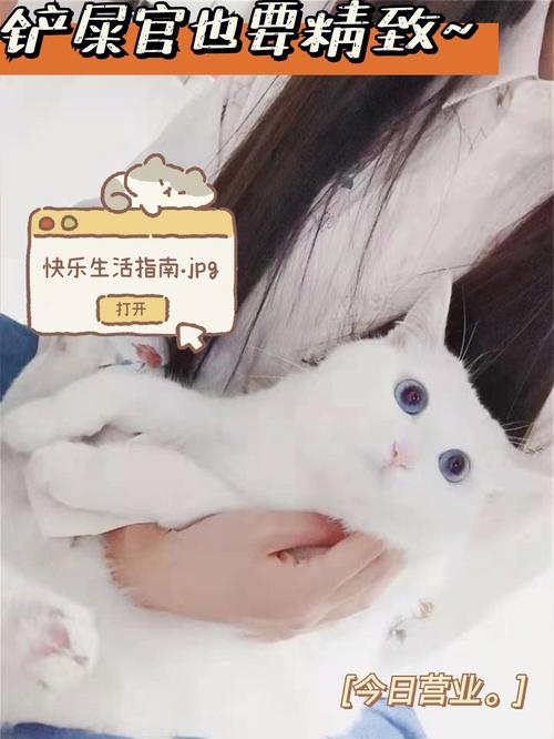 养猫的女孩都是什么心态？（女生未婚养猫说道）