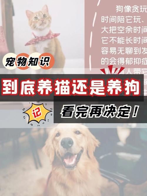 如何选择养猫还是养狗？（怎么养狗还是）