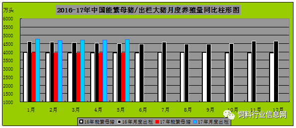 养一头猪利润？（养殖生猪的利润）