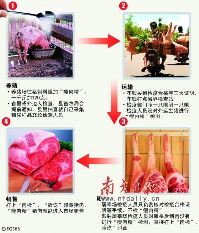 辽阳卖的進口猪肉有瘦肉精没有？（2018辽阳生猪价格）