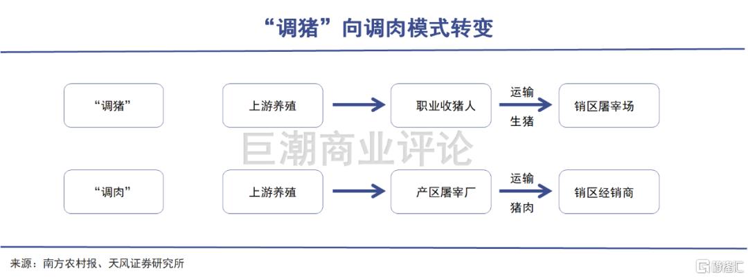 双汇自己养猪吗？（双汇收购生猪流程）