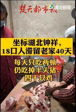 湖北人为什么吃大肉？（今日襄樊生猪行情）