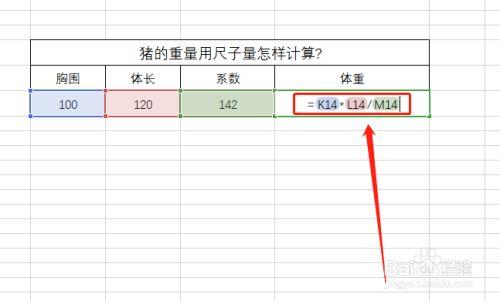 生猪计算体重的方法？（怎样称生猪体重）