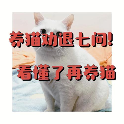 逗猫的诗句？（清朝允许养猫吗）