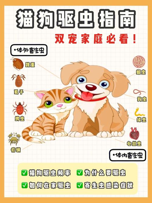 如何驱猫？（养狗技）