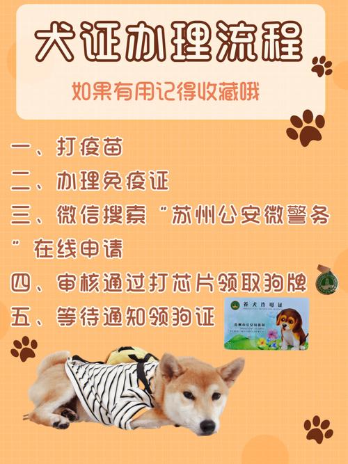 一年的狗可以办狗证吗？（养狗打狂犬疫苗吗）