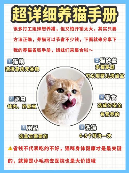 家庭驱鼠方法？（养猫怎么护眼最好）