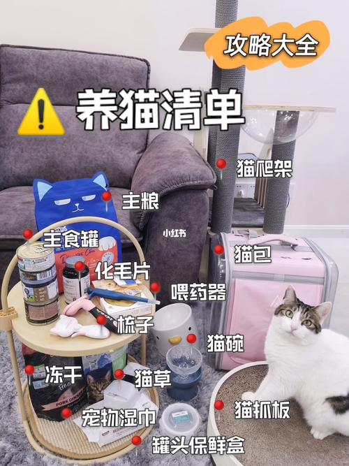 养猫必不可少的东西？（养猫准备食物充足）