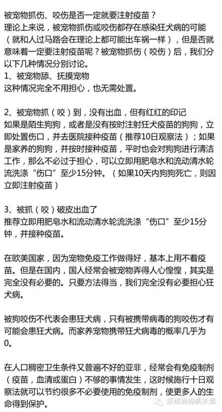 狗狗直接打狂犬可以吗？（养狗的打狂犬疫苗吗）