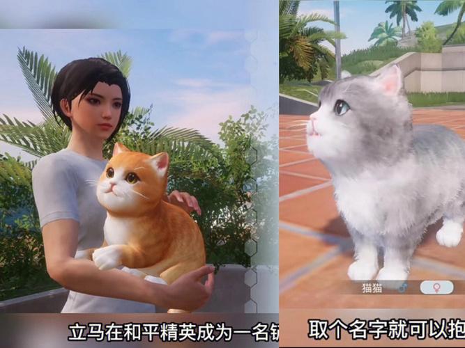 和平精英家园养猫哪只好看？（甜蜜家园养猫女演员）