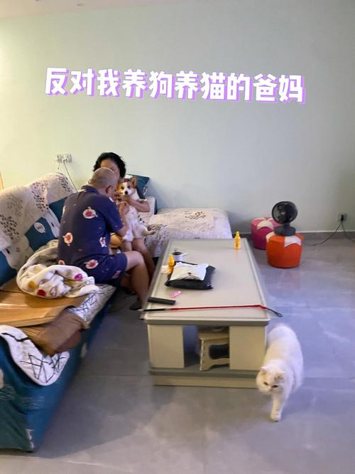 父母反对养猫怎么办？（养猫对孩子的案例）