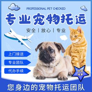 宠物物流托运哪个便宜？（领养猫狗押金多少）