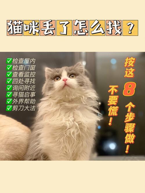 猫咪走丢了教你几招将猫迅速找回？（如何收到附近养猫群）