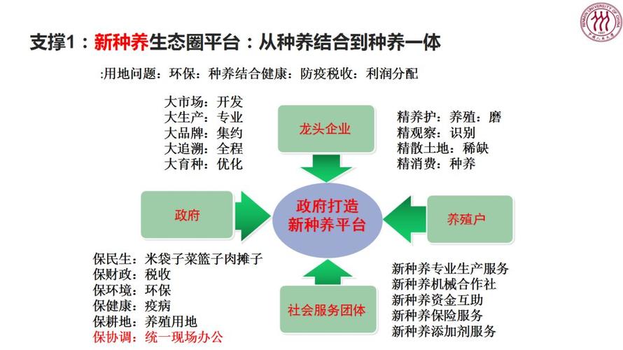 七区战略指什么？（生猪产业国家战略）