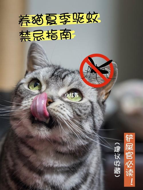 有猫怎么驱蚊子？（养猫不能驱蚊子吗）