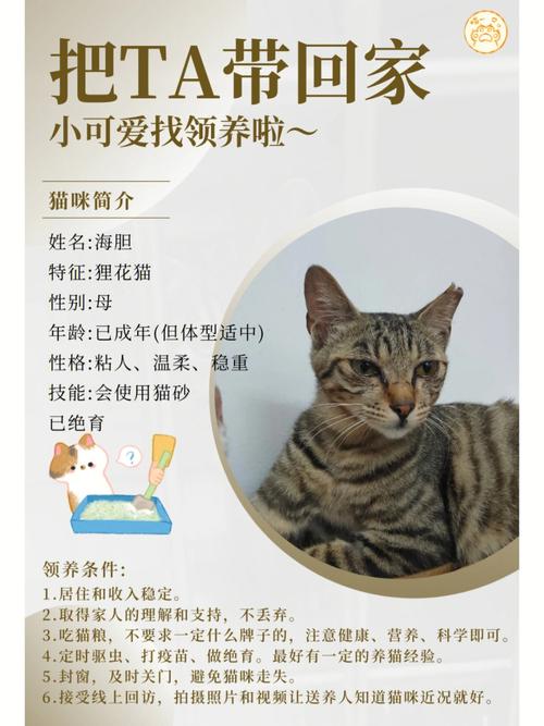 江苏泰州独生子女补贴发放时间？（泰州在哪领养猫咪）