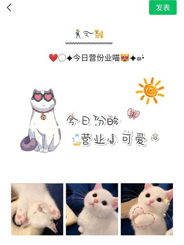 一猫两人三餐四季朋友圈文案？（同时养猫的说说搞笑）