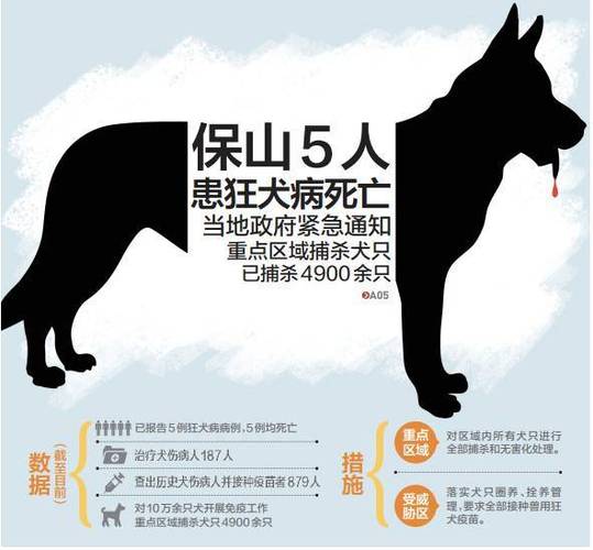 狗患狂犬病的几率大还是猫患狂犬病的几率大？（猫为啥比狗难养）