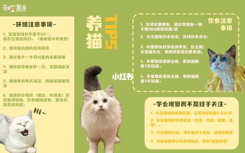 养猫的好处？（养猫的15个好处）