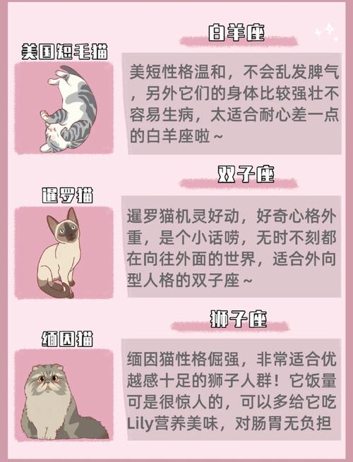 摩羯座女生适合养什么宠物？（哪些星座不能养猫猫）