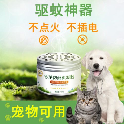 夏天养猫怎么驱蚊？（养猫用什么药膏好呢）